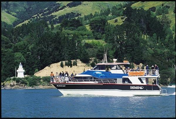 Leading Banks Peninsula Tourism operator Black Cat Cruises says a trip to visit inbound operators in Auckland last week reinforced the company's resolve to highlight the fact that Akaroa was unaffected by February's earthquake. 